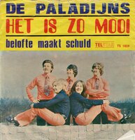 Paladijns - Het is zo mooi + Belofte maakt schuld (Vinylsingle)