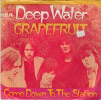 Grapefruit - Deep water + Come down to the station (Vinylsingle)