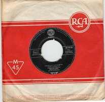 Elvis Presley - Party + Got a lot o livin' to do (Vinylsingle)