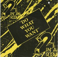 2 in a Room - Do what you want + (12" edit) (Vinylsingle)