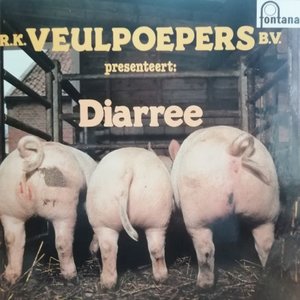 R.K. Veulpoepers B.V. - Diarree (Vinyl LP)