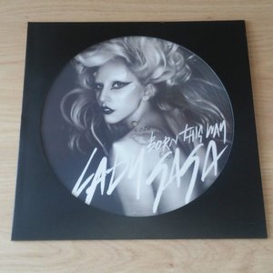 LP Picture Disc Hoes (zwart) - per 10 stuks